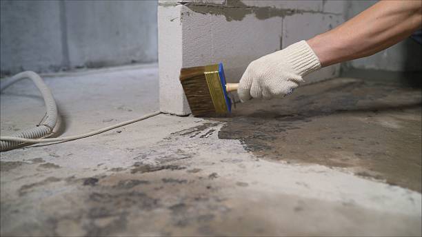 24/7 Emergency Exterior Waterproofing experts in Goddard, KS